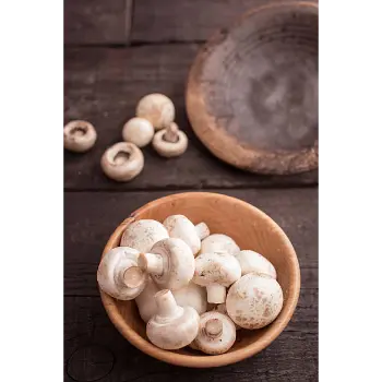 mushroom (7)-3344014-19379.webp